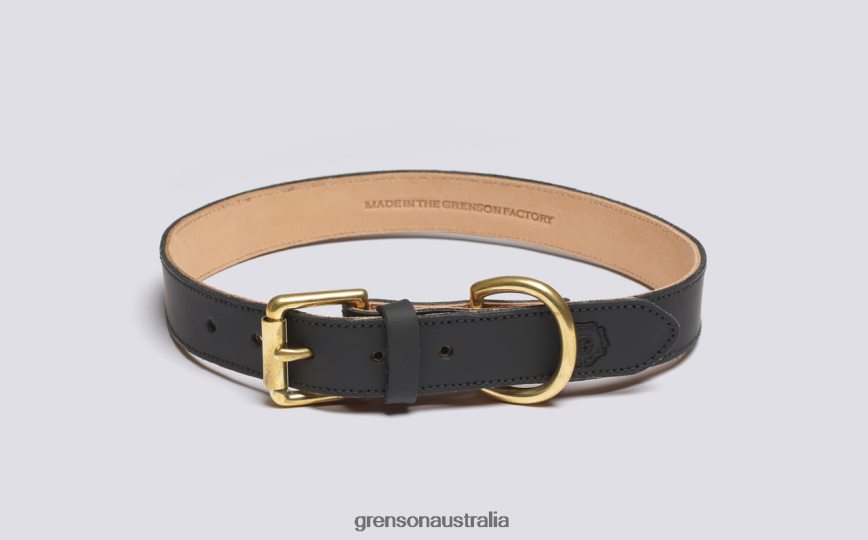 Grenson LARGE DOG COLLAR Unisex Black Dog Accessories LFTT6B545