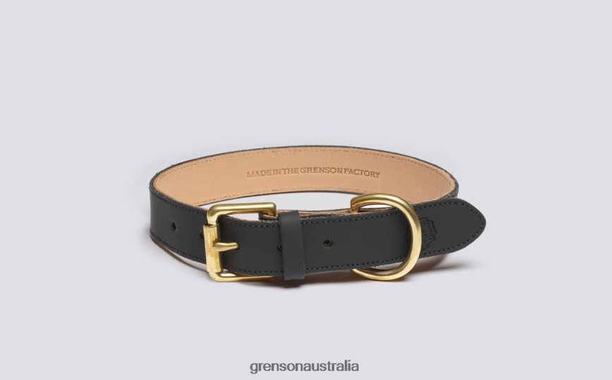 Grenson MEDIUM DOG COLLAR Unisex Black Dog Accessories LFTT6B547