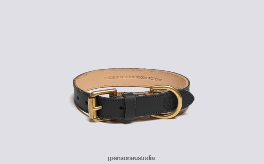Grenson SMALL DOG COLLAR Unisex Black Dog Accessories LFTT6B546
